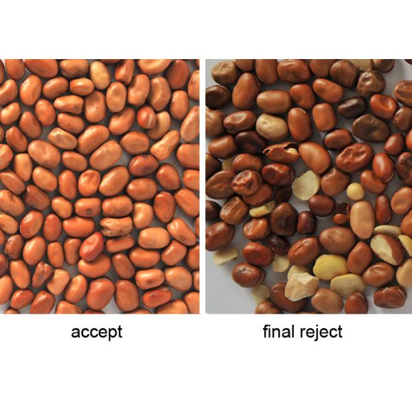 High Sorting Accuracy White Bean Color Sorter Sorting Machine For Bean Separating