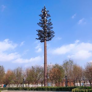 Radio WiFi 4G Cell Phone Bts Monopole Telecom Tower