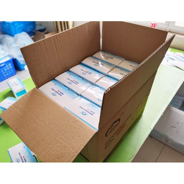 FDA 3 Ply Anti Bacterial Disposable Sheet Earloop Mask