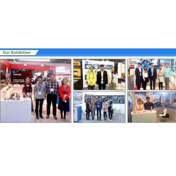 SS400 SUS304 SUS316 Forged Steel Flange JIS B2220 5K 10K 16K 20K 30K 40K SLIP ON BLIND