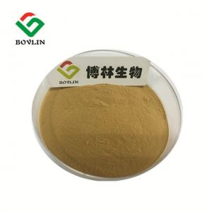 China Factory Supply  Psoralea Corylifolia Extract 10:1  20:1 for Men on sale