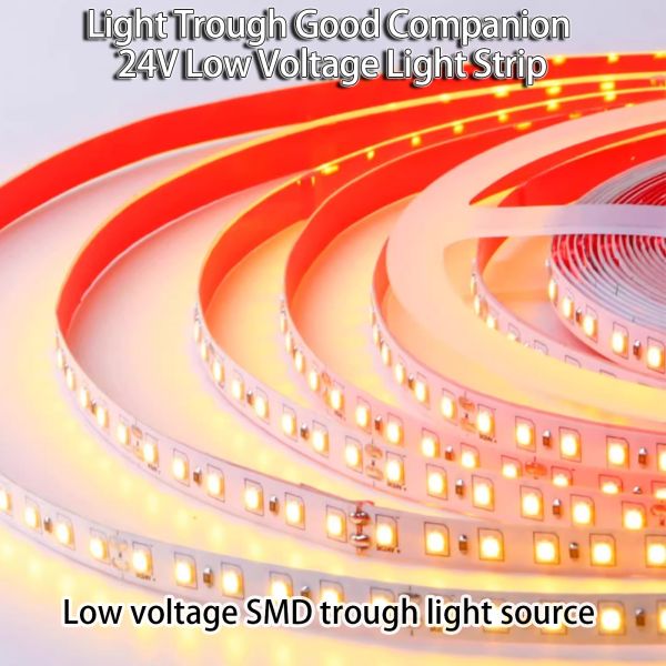 12V24V Low Voltage Light Strip Self-Adhesive Linear Light Living Room Patch Cabinet Embedded Line Light Slot Led Light Strip