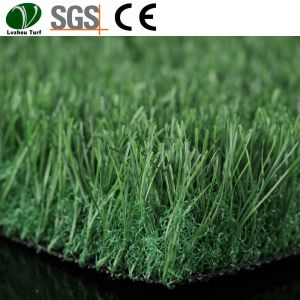 China Backyard Putting Green Real Grass Garden Landscaping 60mm Pile Height wholesale