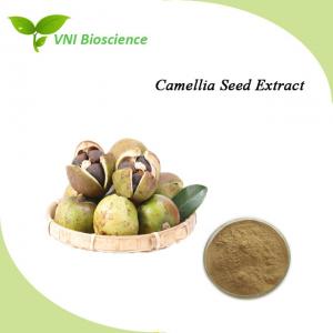 China OEM Camellia Seed Extract Anti Inflammatory Herbal Extraction wholesale