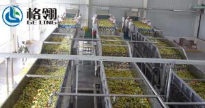 China 1-100ton Automatic Fruit Juice Processing Line Apple Juice 20000lph Beverage Processing Line wholesale