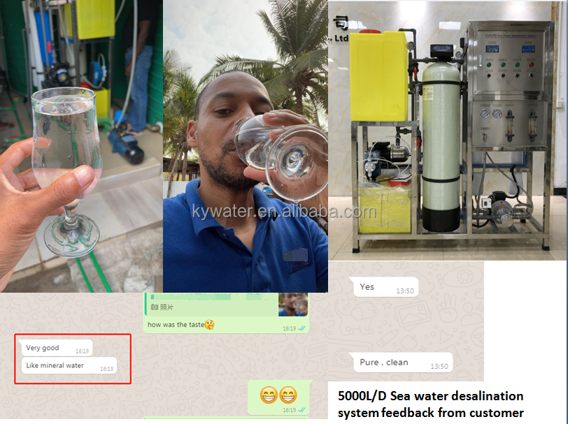 2000LPD Salt Desalination System Seawater Reverse Osmosis Plant