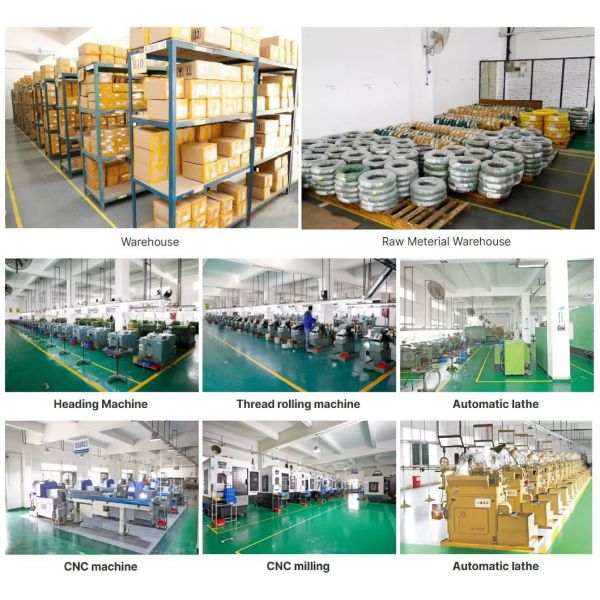 Customized Stainless Steel Head Mirror Polished Square Neck Carriage Bolts