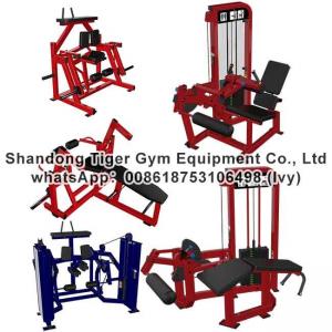 China Gym Fitness Equipment Iso-Lateral Leg Curl /  Prone leg Curl / Seated Leg Curl / Kneeling Leg Curl exercise machine wholesale