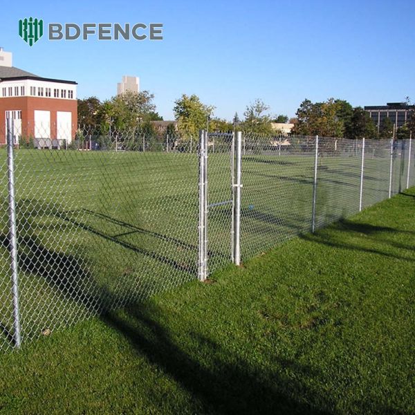 Galvanized Diamond Mesh Wire Chain Link Fence 6 Feet Height 9 Gauge 5*5cm Post Rail Thickness 5.0mm PVC Coated