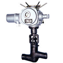 China Pressure Sealed Globe Valve wholesale