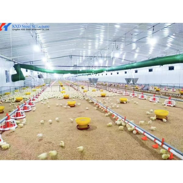 Q235/Q355 Steel Structure Poultry House with Sandwich Panel Roof