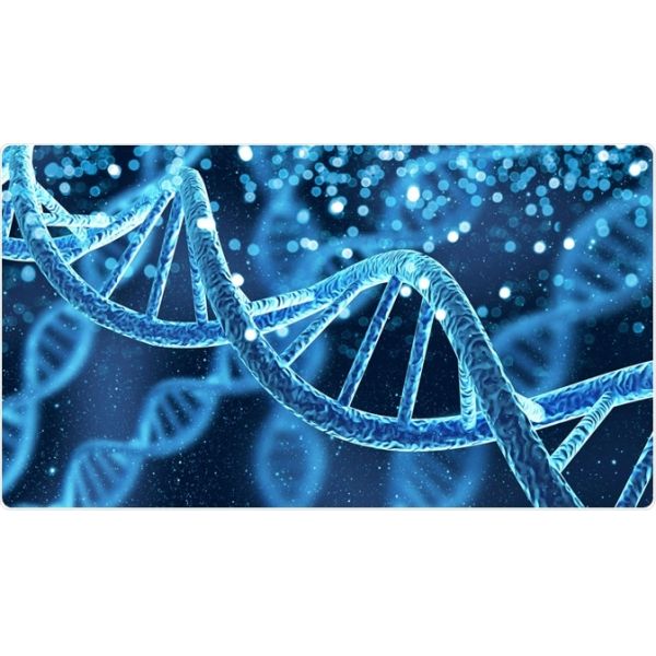 40 mins Nucleic Acid Diagnostic Kit , CE SGS Novel Coronavirus Detection Kit