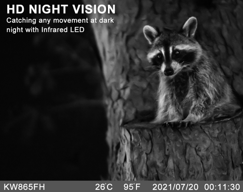 Game Trail Camera 24MP Scouting Camera No Glow Black Infrared Night Vision 0.25s Trigger wifi function